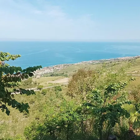 Palapico 보니파티