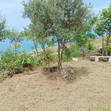 게스트하우스 Palapico 3*