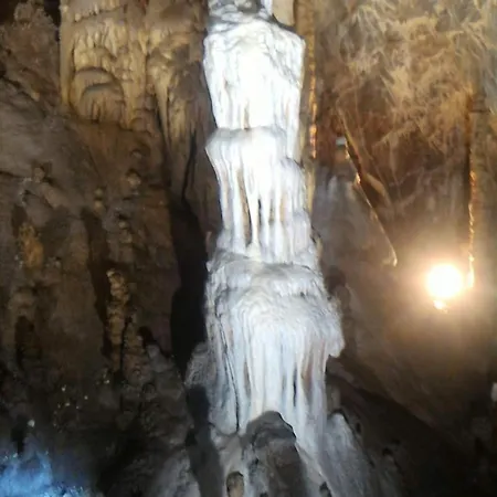 게스트하우스 Palapico 보니파티