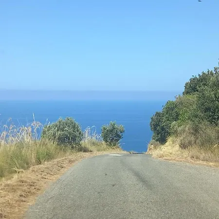 Palapico 게스트하우스