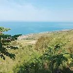 Palapico 보니파티