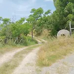 게스트하우스 Palapico 보니파티