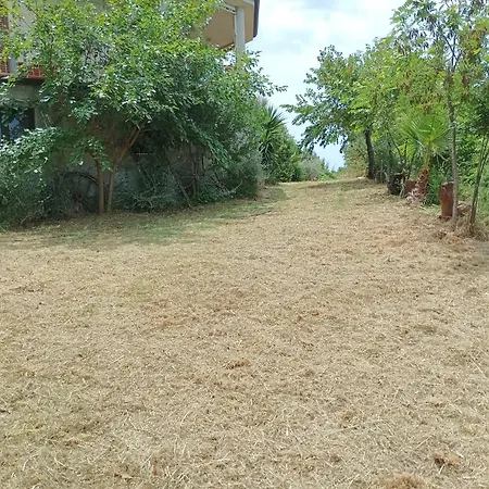 Palapico Guest house Bonifati