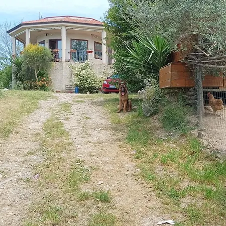 Guest house Palapico
