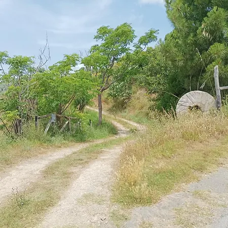 Gasthof Palapico Bonifati