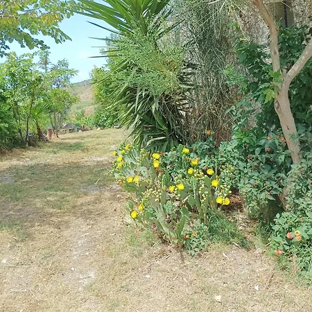 Guest house Palapico