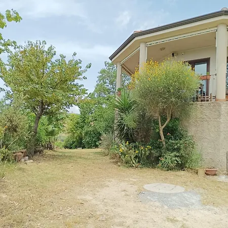 Guest house Palapico