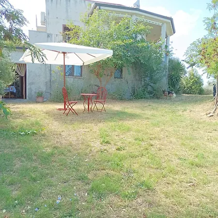 Guest house Palapico *