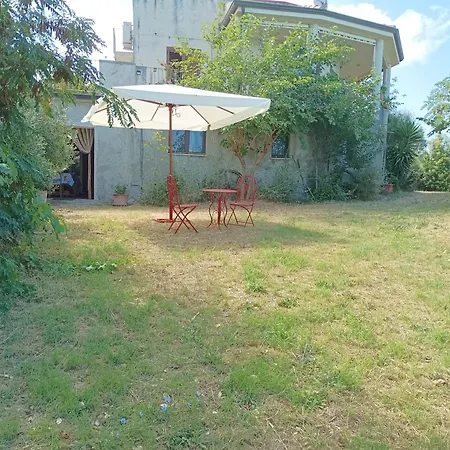Guest house Palapico