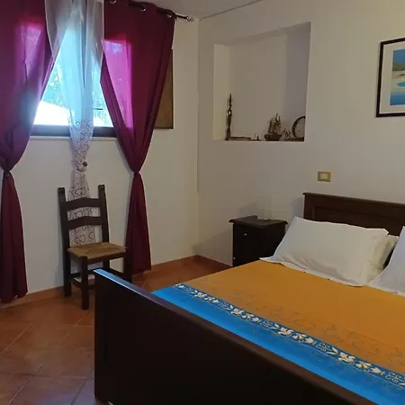 Guest house Palapico *