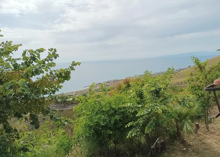 Palapico 3* Bonifati