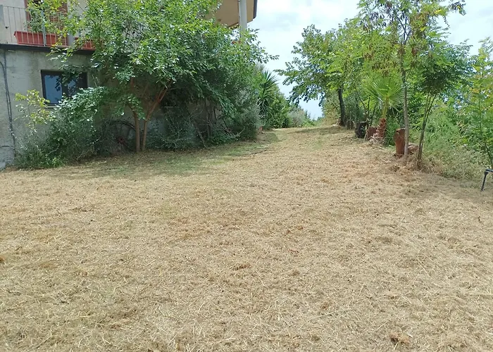 Palapico Pensionat Bonifati