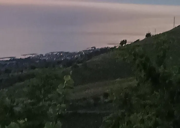 Pensionat Palapico Bonifati