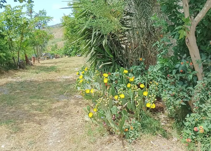 Casa de hóspedes Palapico