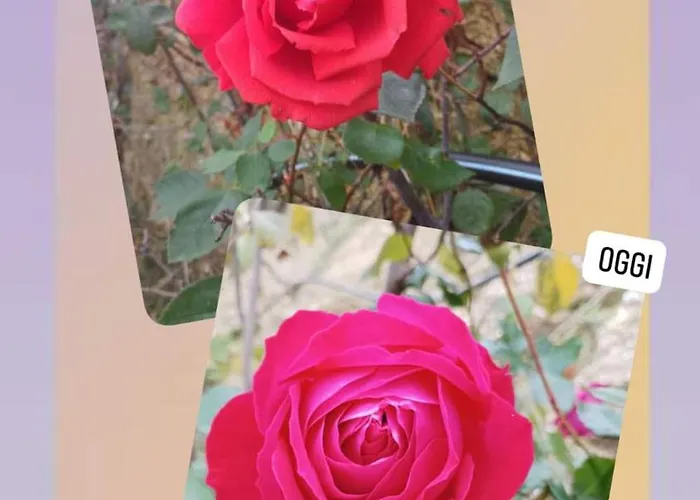 Pensionat Palapico 3*